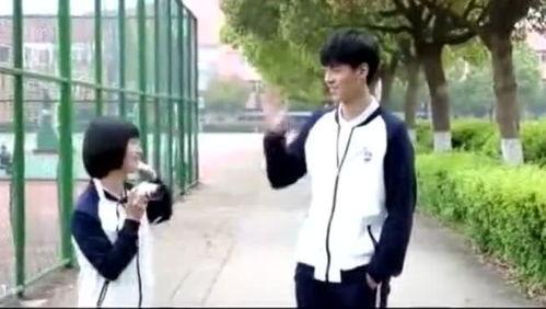 小美好花絮音乐,旋律中的青春回忆